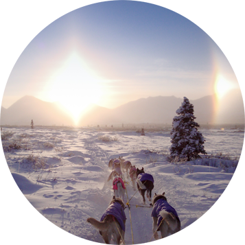 Into the Wild Adventures, dog sledding tours and outdoor adventures in the Yukon Territory, Canada - Full day tours
