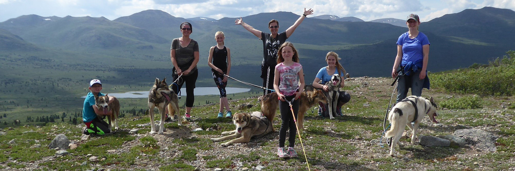 Into the Wild Adventures, dog sledding tours and winter adventures in the Yukon Territory, Canada - Dogsledding Tours